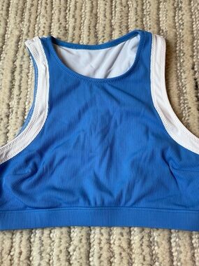 SOLID & STRIPED Royal Blue and White High-Neck Bikini Top